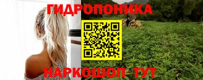 индика Янаул