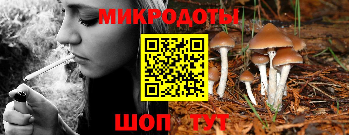 Псилоцибиновые грибы прущие грибы  Псилоцибиновые грибы Psilocybe  Вход с VPN  Вязники 