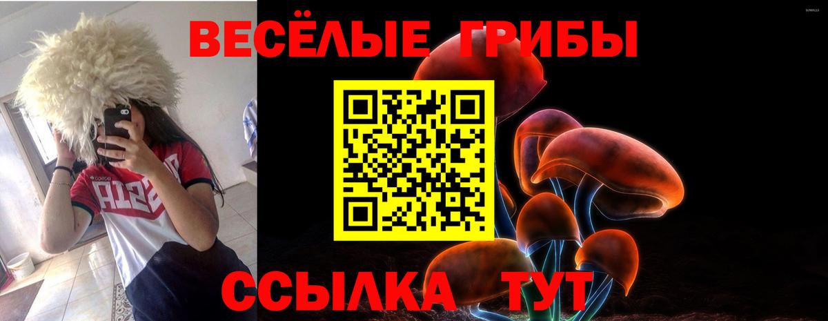 Псилоцибиновые грибы прущие грибы Вязники
