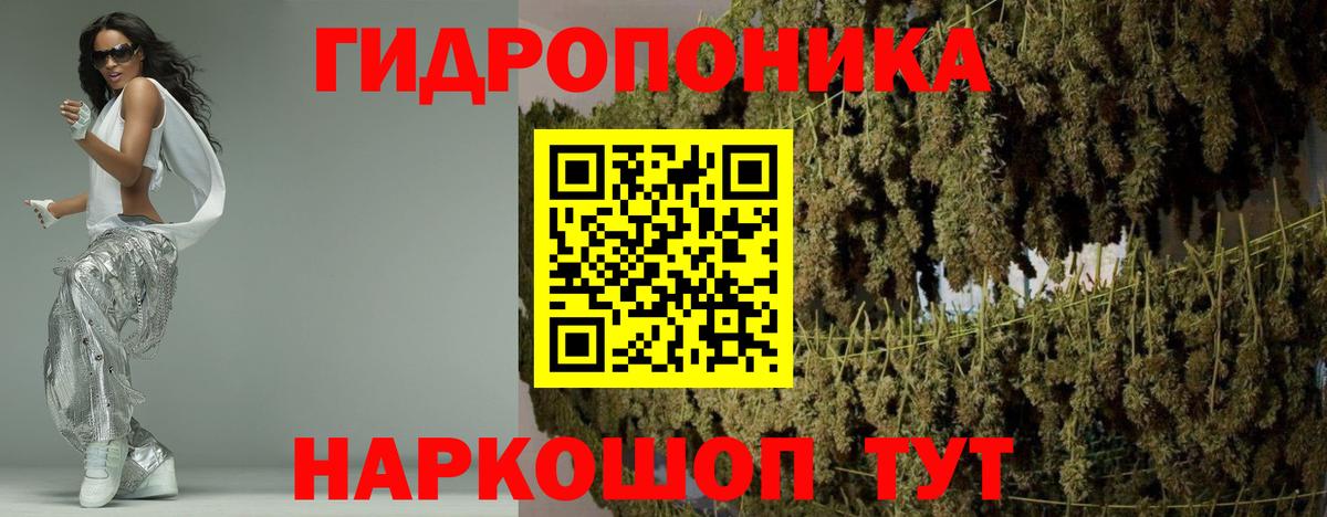 Каннабис OG Kush Вязники